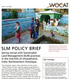 Policy Brief